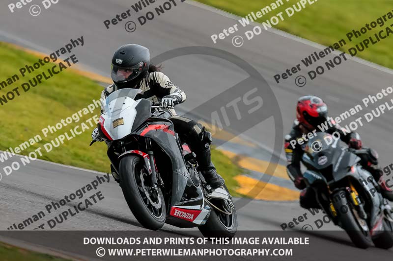 PJ Motorsport 2019;anglesey no limits trackday;anglesey photographs;anglesey trackday photographs;enduro digital images;event digital images;eventdigitalimages;no limits trackdays;peter wileman photography;racing digital images;trac mon;trackday digital images;trackday photos;ty croes